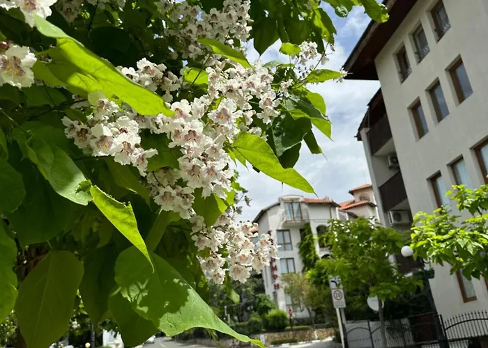 Daire аппартамент в триумфе святой влас 300м от моря, бассейн. Sveti Vlas