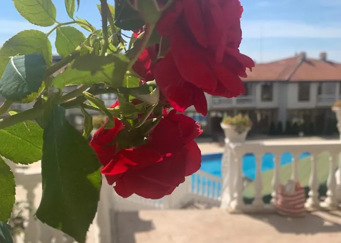 аппартамент в триумфе святой влас 300м от моря, бассейн. アパート スヴェティ・ヴラス